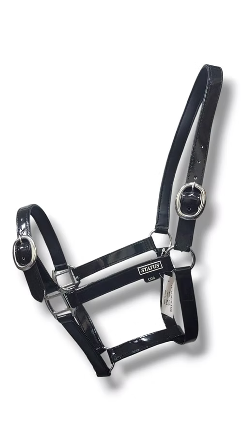 Status Halter