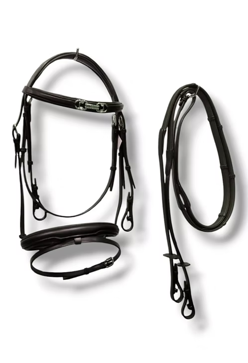English Bridle With Bit Desing ,Brown