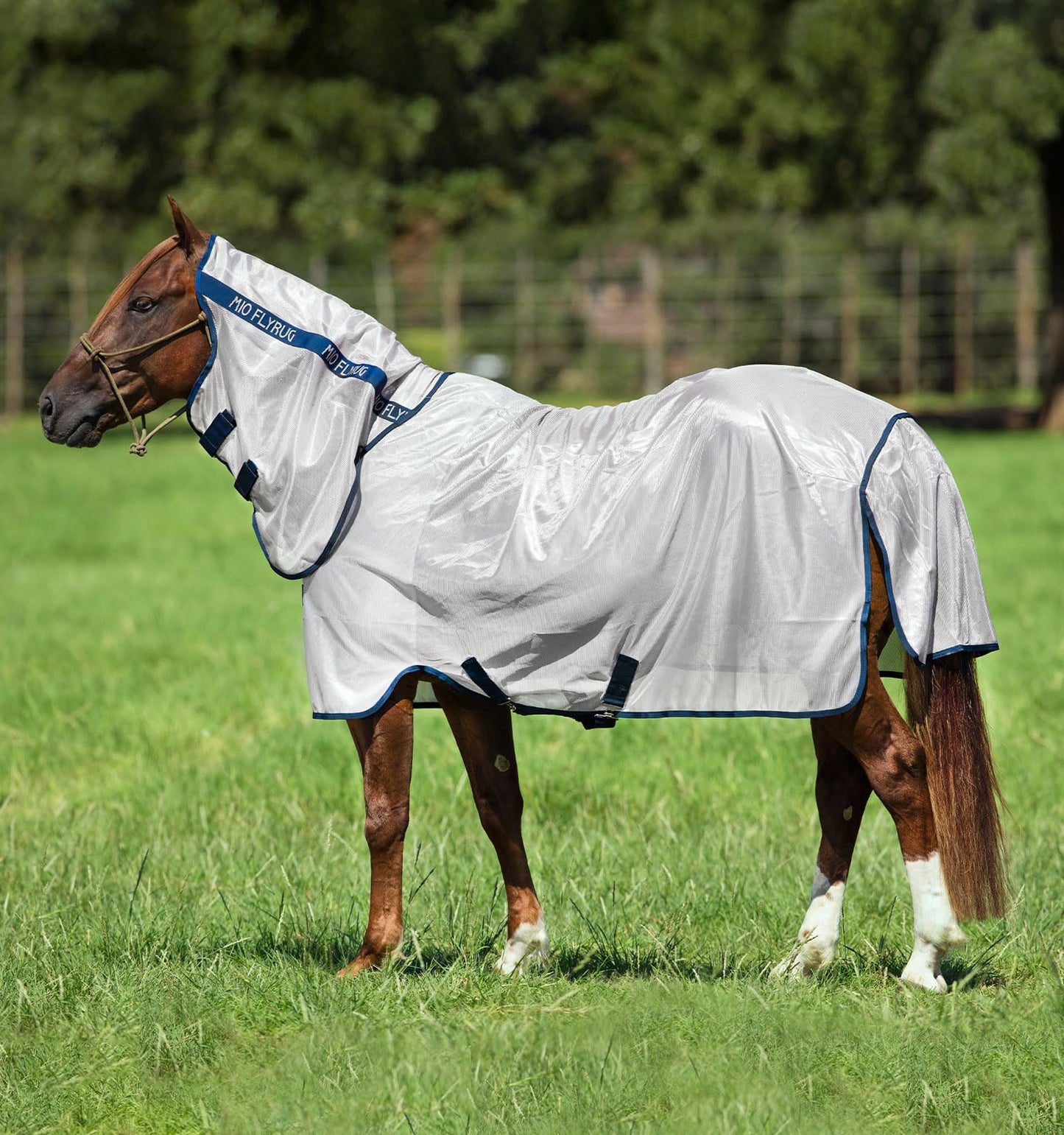 Mio Fly Rug