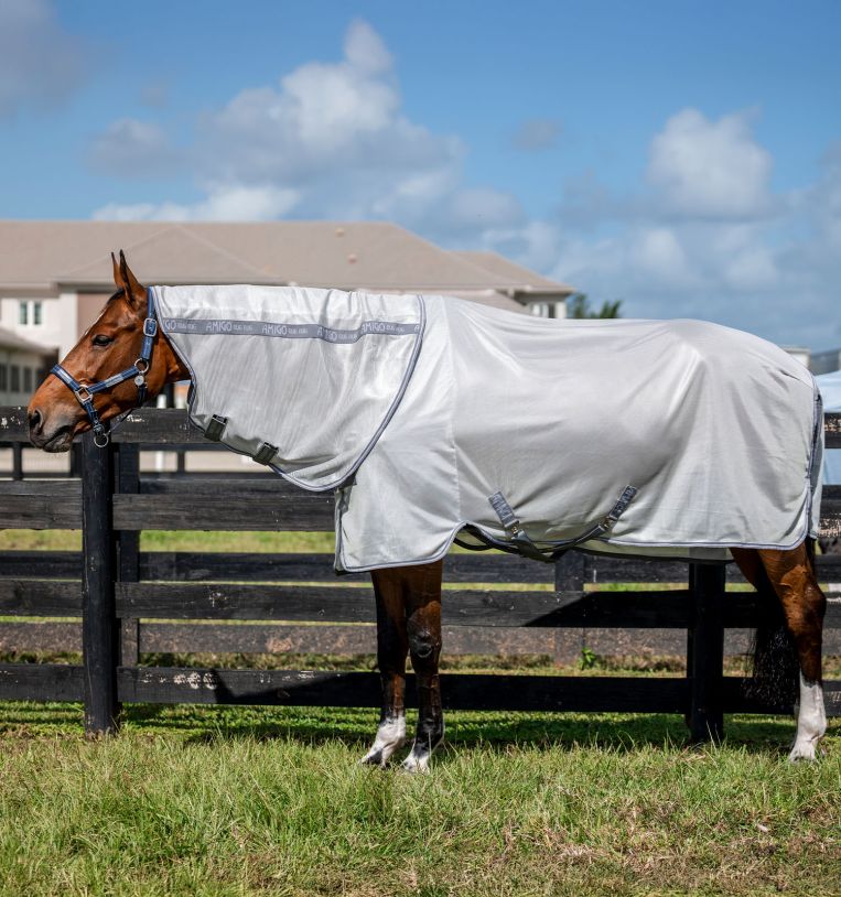 Amigo® Bug Rug XL Plus Fly Sheet