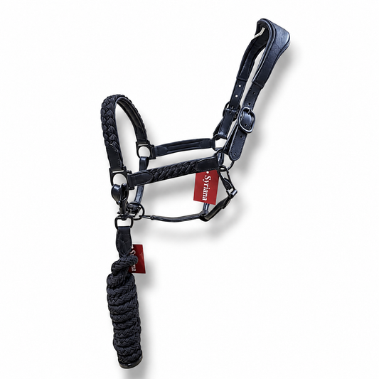Braided Leather Halter with Lead Rope