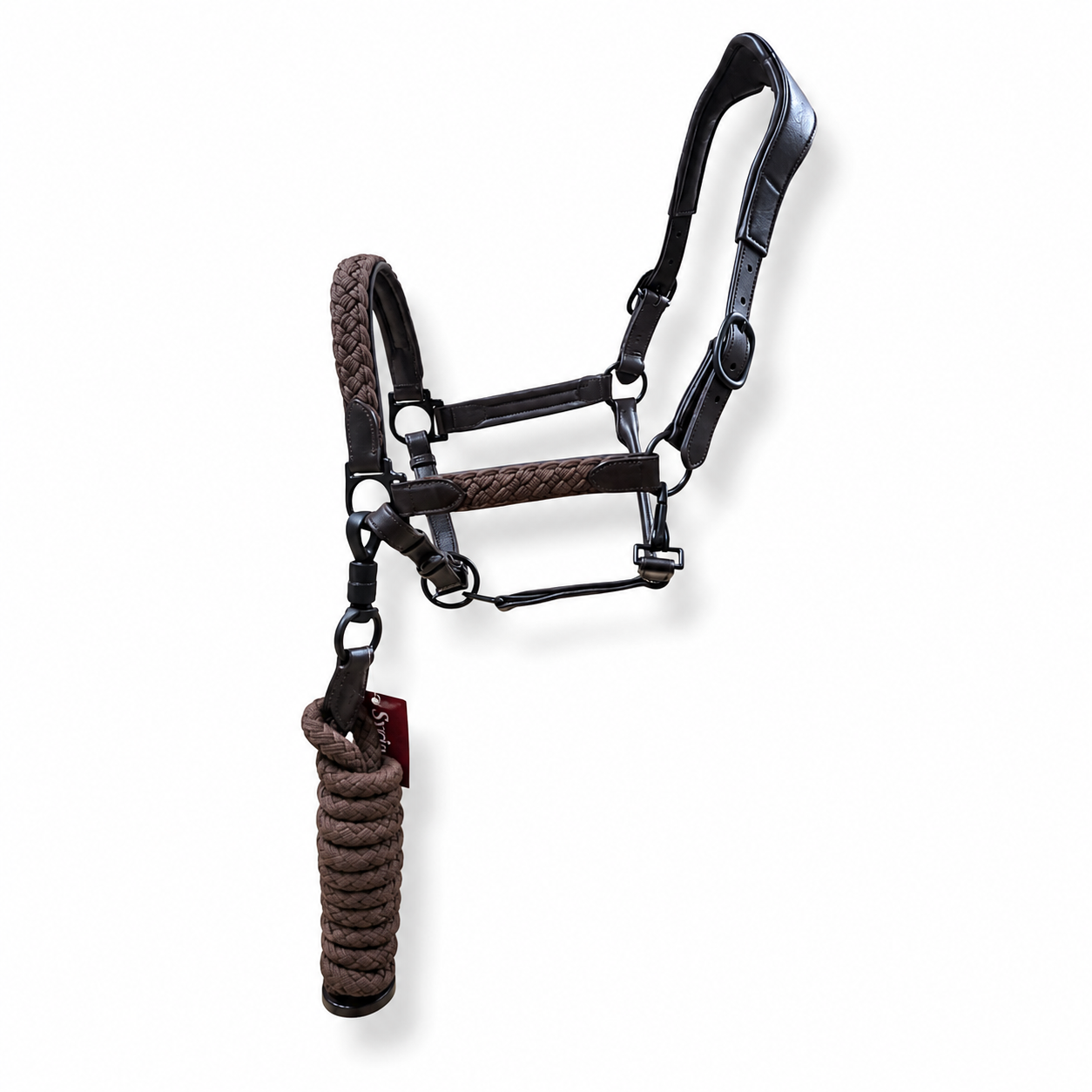 Braided Leather Halter with Lead Rope