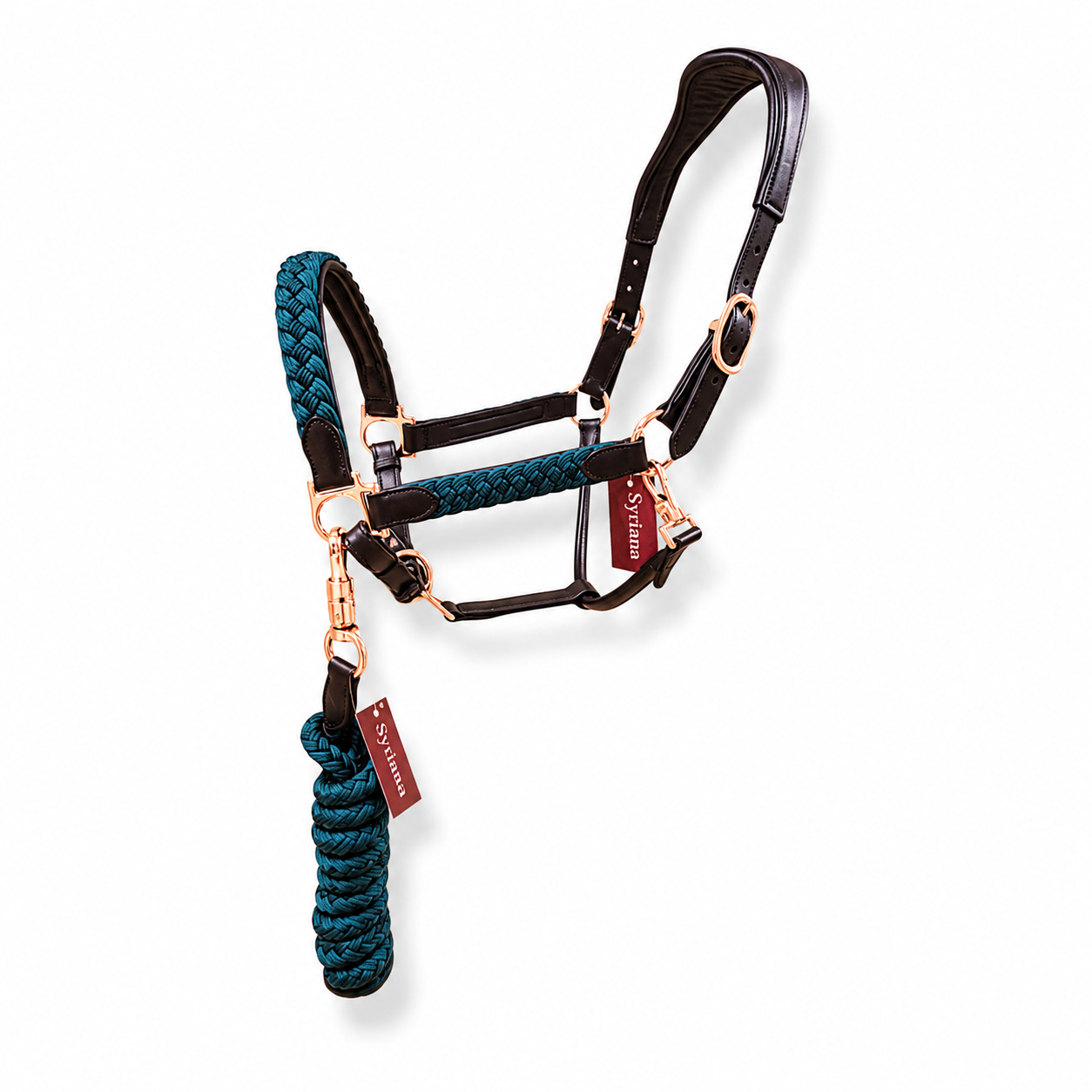 Braided Leather Halter with Lead Rope