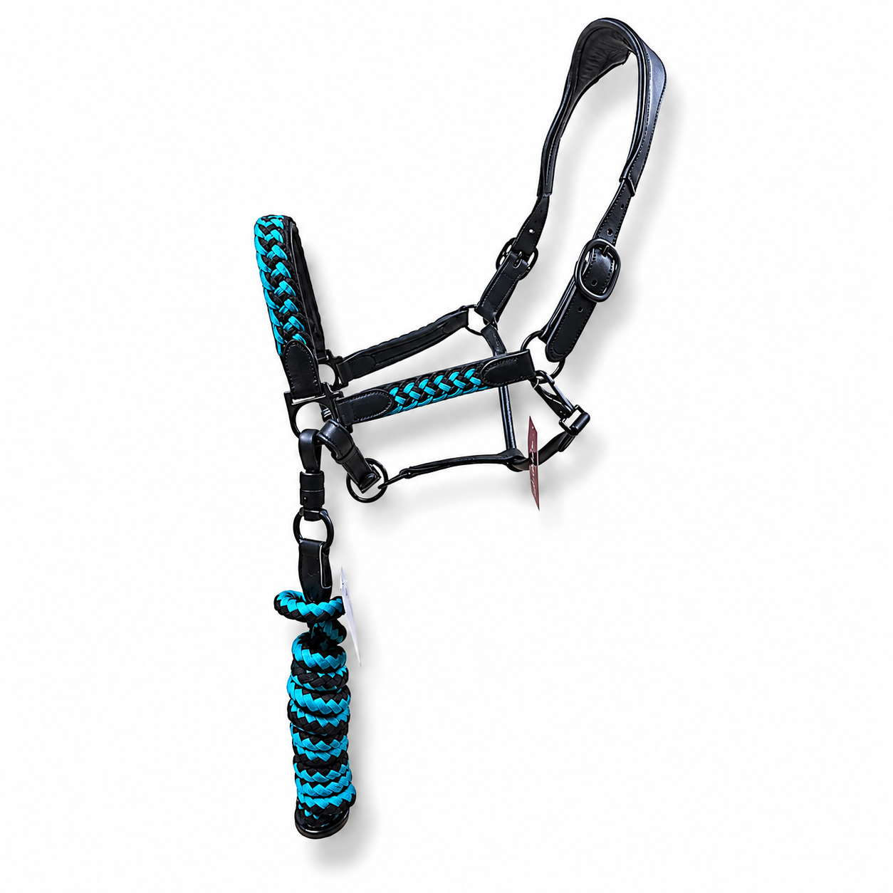 Braided Leather Halter with Lead Rope