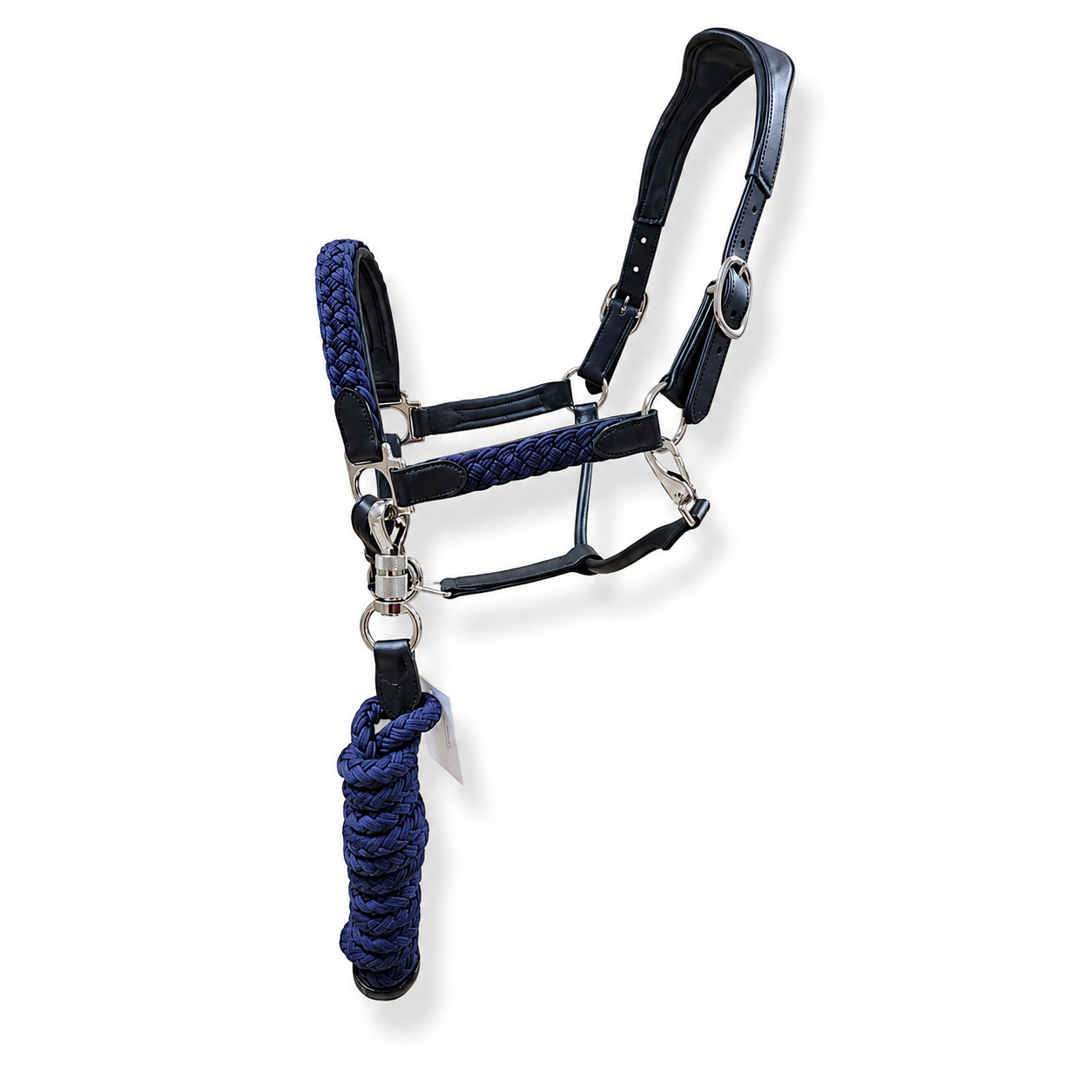 Braided Leather Halter with Lead Rope