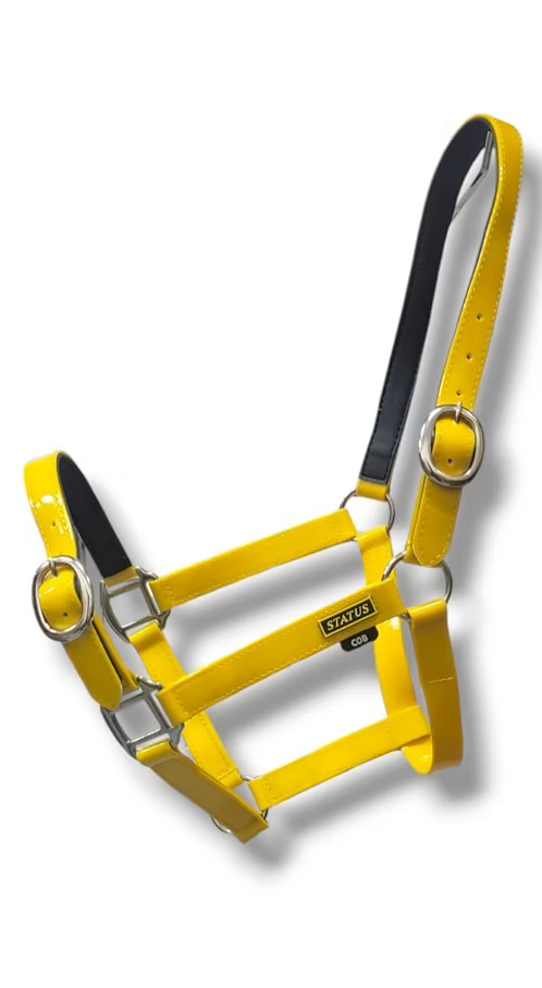 Status Halter