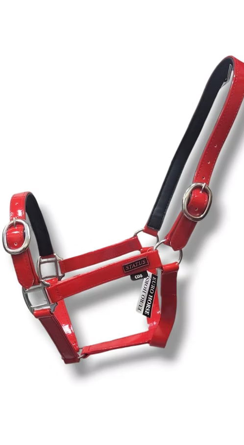 Status Halter