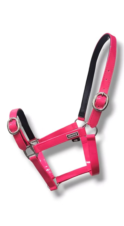 Status Halter