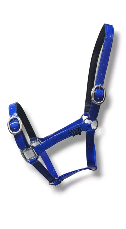 Status Halter