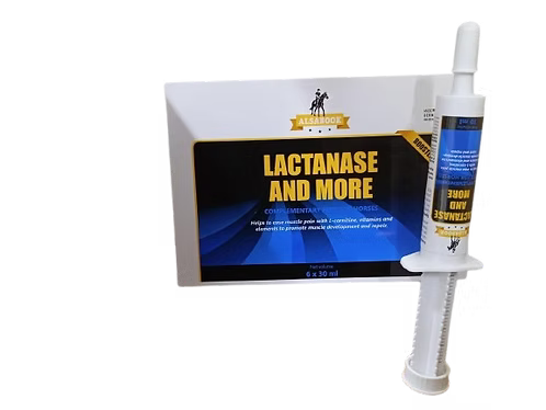 Lactanase_And_More (Per piece)