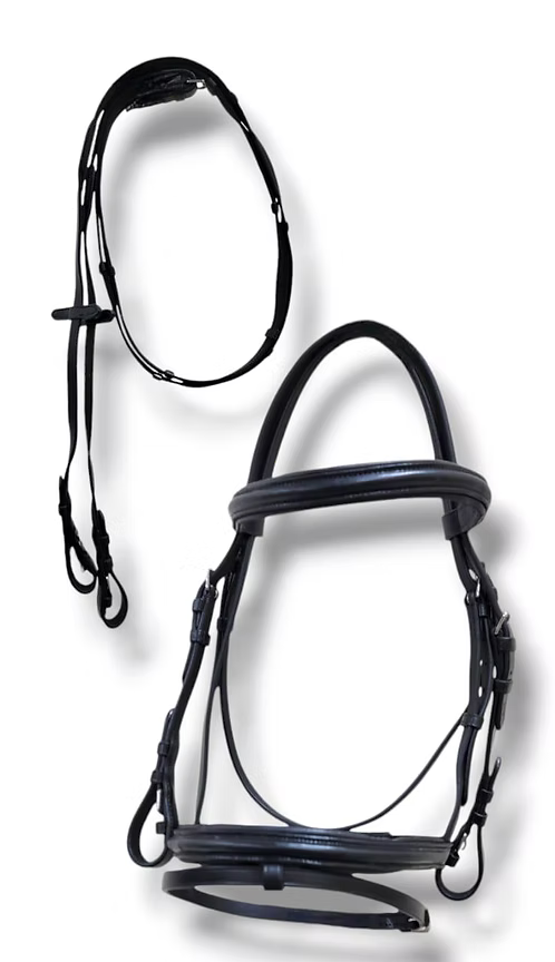 Raised Padded Bridle With Reins