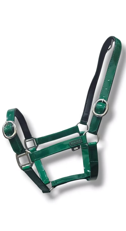 Status Halter