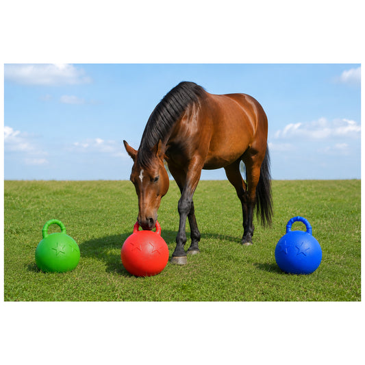 Horse Play Ball
